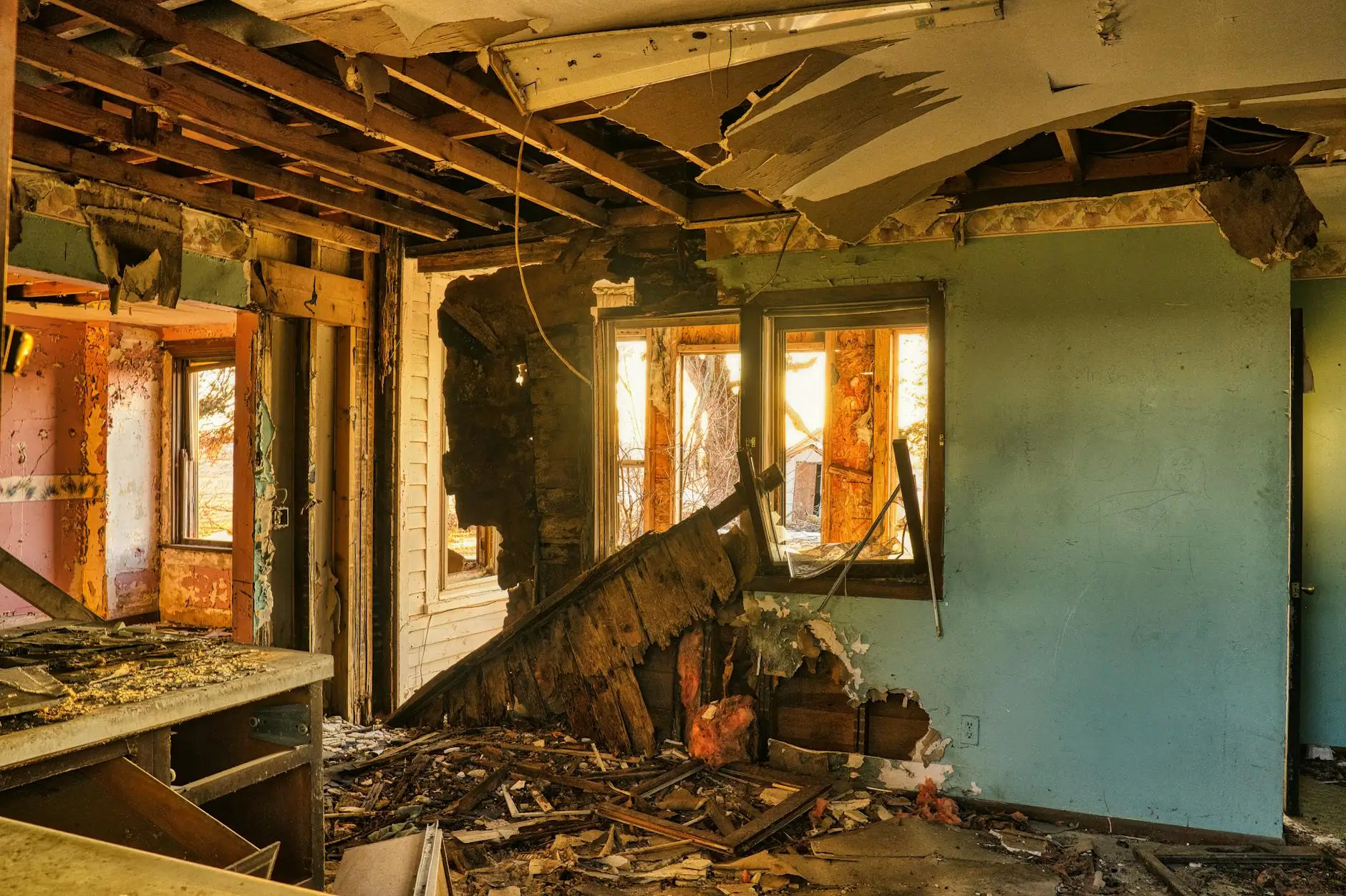 West Valley City's Trusted Mold Remediation Specialists — West Valley City, UT